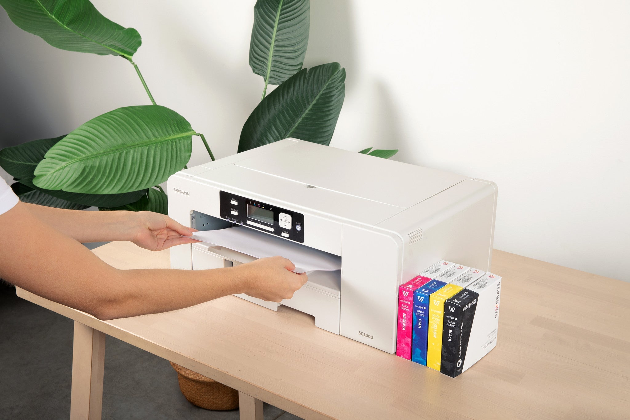 Troubleshooting Color Issues in Sublimation and VersiFlex Printing