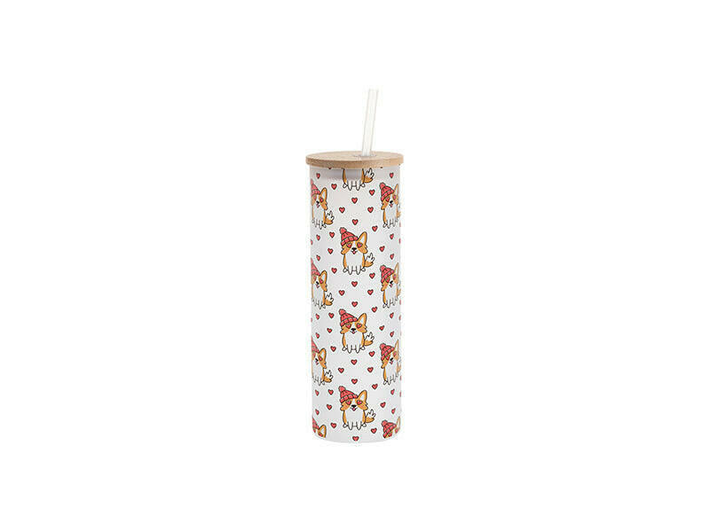 Craft Express 6 Pack 20oz Frosted Glass Sublimation Tumblers with Lids & Straws.