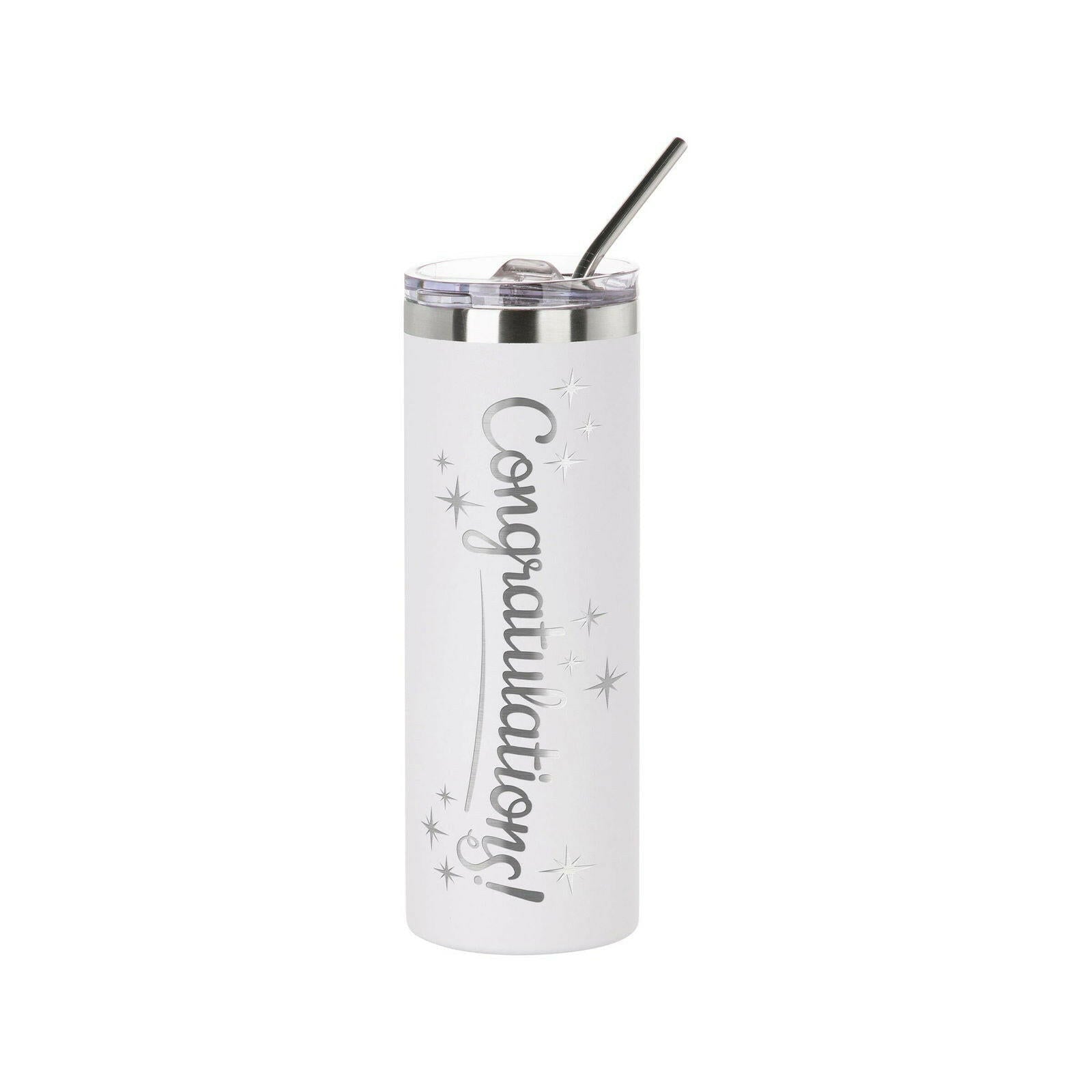 Craft Express 6 Pack Powder Coated Stainless Steel Tumblers with Straw & Lid.