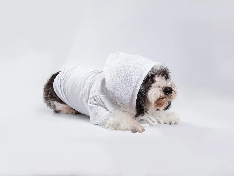 Customizable Large Sublimation Pet Hoodies – 2 Pack