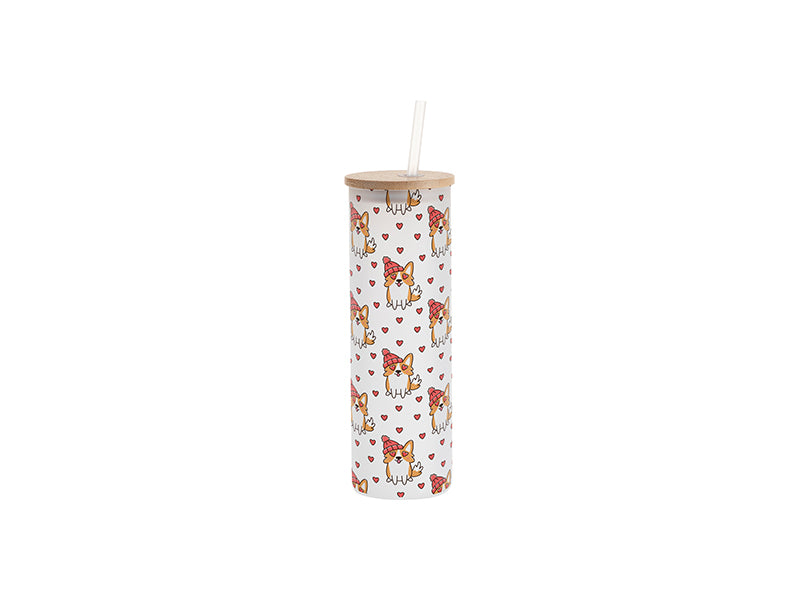 CRAFT EXPRESS 1 Pack 20oz Glass Skinny Tumbler - Sublimation - Retail Ready